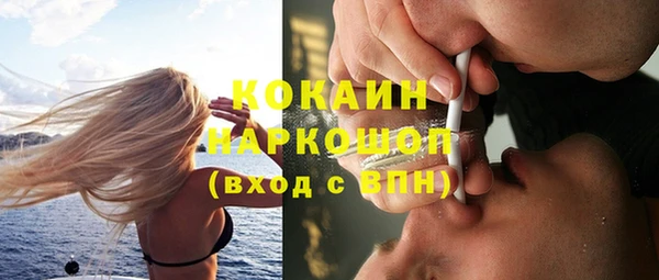 мдпв Вяземский