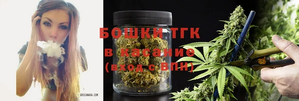 мдпв Вяземский