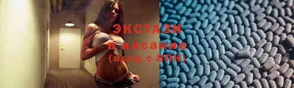 мдпв Вяземский