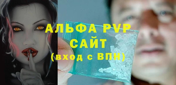 мдпв Вяземский