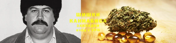 мдпв Вяземский