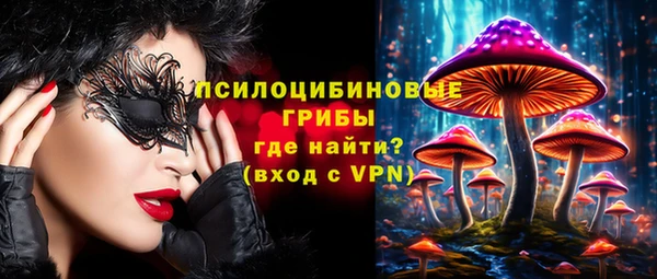 мдпв Вяземский