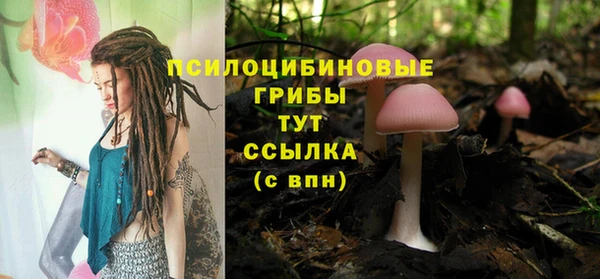 соль курить ск Вязьма