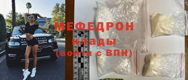 индика Горнозаводск