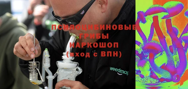 гашик Горно-Алтайск
