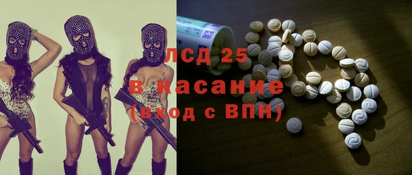 индика Горнозаводск