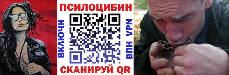 Галлюциногенные грибы MAGIC MUSHROOMS  наркошоп  Дивногорск 